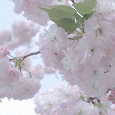 兽设背景场景绘制FurryQQ群